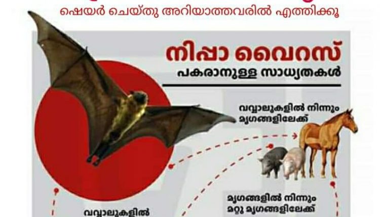 33110825_445217225928521_6527681567806980096_n